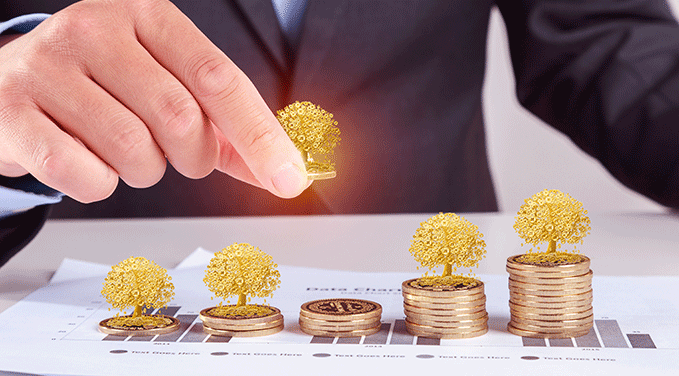 500516581.gif 500516581.gif